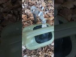 More Garden Sounds
