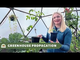 Grow Your Garden: Mastering Plant Propagation in Your Greenhouse