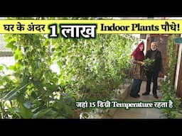 घर के अंदर हैं 1 लाख INDOOR PLANTS पौधे, हमेशा रहता है 15 डिग्री तापमान!
