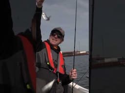 Herings-Triple in Warnemünde!