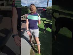 The 12yo cracking the quail egg market | RNZ