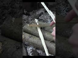 Making Fire Short