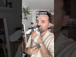 Le muestro lugares a mi gato, que jamás vio