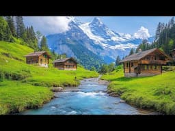 Relaxing Music to Stop Thinking Too Much, Sleep Deeply 🌿 Music Heals The Heart and Blood Vessels