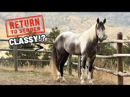 Guess Who’s Back!?!?