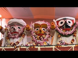 Iaggnath Sannan Yatra At sri Dham Vrindavan