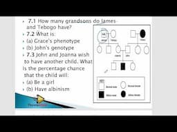 Copyof GENETICS, PEDIGREE, SEX LINKED NON SEX LINKED  CHARACTERS:GRADE 12 LIFE SCIENCES, 2025 [THUND