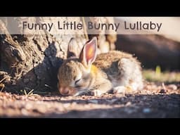 Funny Little Bunny Lullaby 💤 | Relaxing Sleep Song for Babies & Toddlers | Easter Circle Time Song