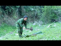 Harvesting Natural Specialties, Nutritious Dishes: River Survival | EP.455
