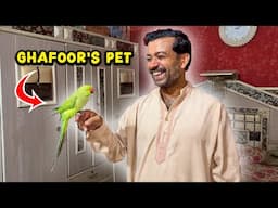 Tribal Man Introduce Their Pet Parrot – So Cute!