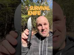 Holtzman Bloodline - Knife of the Day