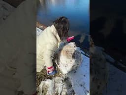 We didn’t get the push into the water on videos 😭😭😭😭😭#snowman #snow #fypシ゚ #funny