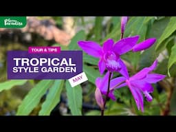 May Magic! Exploring a Lush Tropical Garden + Nursery Plant Sneak Peek!