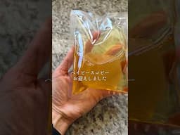ポジティブなエネルギーに満たされる発酵生活、始めてみませんか？