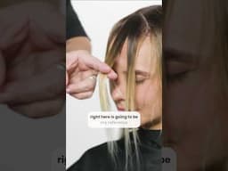 Cutting the Fringe  How To Select Your Level of Elevation