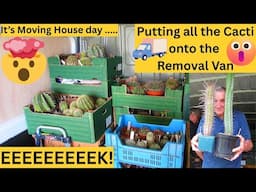 It's Moving House Day - Putting all the Cacti into the Removal Van #cacti #cactus #cactuscollection