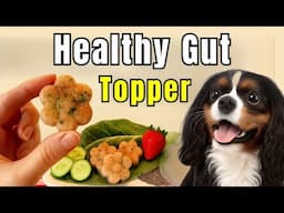 Gut Health Dog Food Topper Recipe with Bone Broth and Fresh Fruit 🥣 🌱 🥭 🍓 🥬 🥒 🍉
