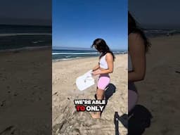 Beach Cleanup Adventure In My Honda Element!