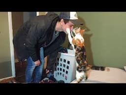 When Cats Become Totally Obsessed With Their Owners