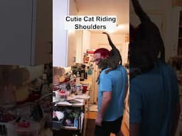 Stupid Animal Tricks.... #cats #cuteanimals #animallover #pets