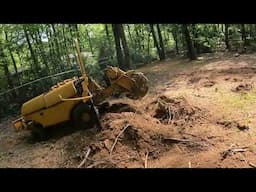 “How to Remove Four Uprooted Stumps Fast DIY Guide”