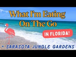 What I'm Eating On The Go in Florida! | Cocoplum Village Shopping Center + Sarasota Jungle Gardens