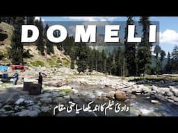 Kashmir's Dangerous Tracks | Baboon Top to Domeli Forest | Neelum Valley