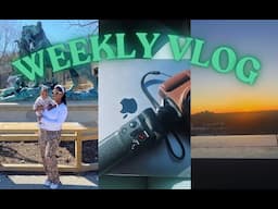 Baby first zoo experience| black SAHM||wax suite updates|God is building up my business