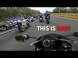 Chaos on the Road to the 2024 Phillip Island MotoGP!