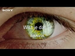 Wist je dat…?