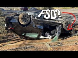 Did Tesla FSD Cause This Crash?