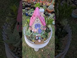 Succulent arrangement with miniature house  | bikolanahardinera #shortvideo #succulent