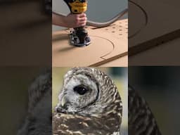 2025 way to cut circles