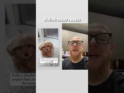 Hairdresser reacts to the cutest Dog...