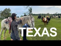 Weekend in Dallas, TX + NYC catch-up
