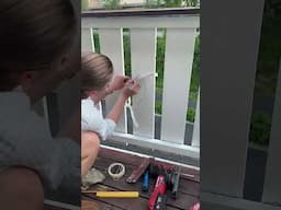Woman Carves Hole in Railing for Her Dog's To People Watch 🥹🥹