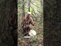 Unlock Forest Secrets Harvesting Puffballs   Nature's Hidden Gems!  Foraging | Self Sufficiency