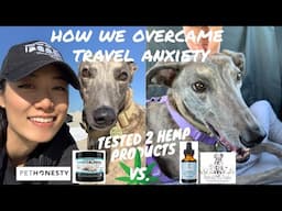 CBD OIL FOR DOGS | WHICH ONE WORKED | DOG CAR ANXIETY | ROAD TRIP