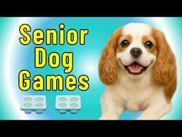 DIY Dog Enrichment for Senior Dogs Using a Muffin Tin Puzzle Game Indoors