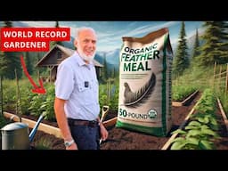 Feather Meal: Don't Underestimate This Ultimate Organic Nitrogen Fertilizer for Your Garden!