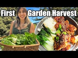First Garden Meals | Back at the Homestead