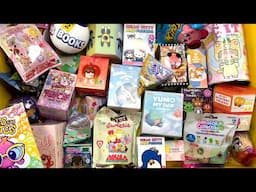 55 minutes of mystery surprise blind boxes Pop Mart, Sanrio ASMR Unboxing Sounds