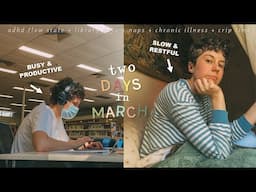 march diaries + why i'm no longer vegan. (crip time, productivity, writing a cookbook)
