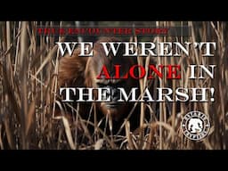 We Weren't Alone In The Marsh!     [EP-270]