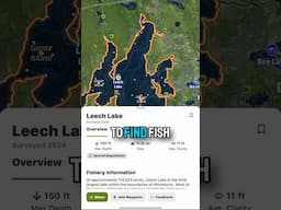 The biggest CHEAT CODE for TROPHY WALLEYES?!? #Walleye #walleyefishing #fishing #shorts