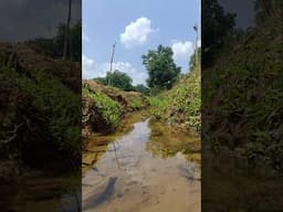 water video #shorts