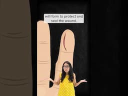 Why does a paper cut hurt so much?