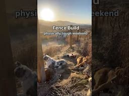 TOUGHEST WEEKEND OF FENCE BUILDING  #land #landdevelopment