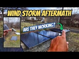 Cleaning Up Solar Panels After Wind Storm