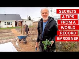 The Secret to HUGE Cabbage – Do This Before You Plant!